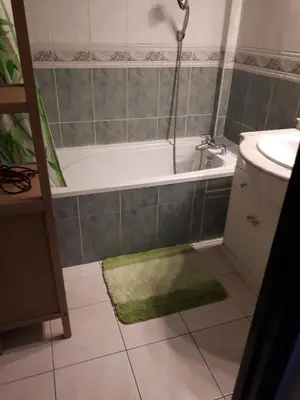 a bathroom with a bath tub and a green rug at Appart bas Fabron in Nice