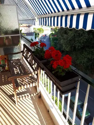 a balcony with a bench and red flowers in a planter at Appart bas Fabron in Nice