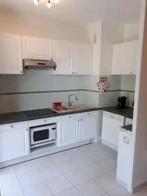 a white kitchen with a sink and a microwave at Appart bas Fabron in Nice
