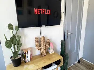 a tv hanging on a wall with cactuses at Homelivia Av Jean Médecin in Nice