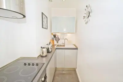 a small kitchen with a stove and a sink at PROMENADE HOLIDAY - PALATIN & SEA in Nice