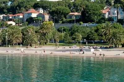 a view of a beach with palm trees and the ocean at Les Pieds dans l'Eau in Nice