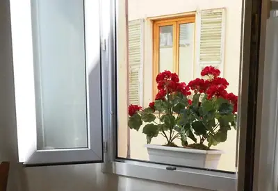 a window with a pot of red flowers in it at 2 Bedroom Apartment Old Town Centre in Nice