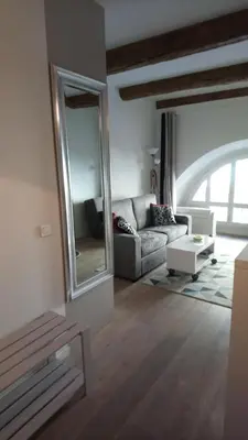 a living room with a couch and a mirror at Sam Le Lezard Sarl in Nice