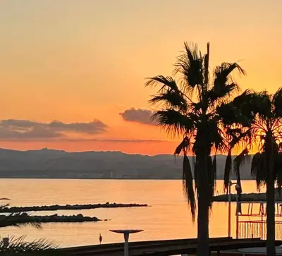 a sunset over a body of water with a palm tree at Sea view luxury apartment in Saint-Laurent-du-Var