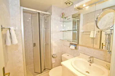 a bathroom with a shower and a sink and a toilet at PROMENADE HOLIDAY - ORIENT & SEA in Nice