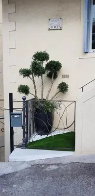a bonsai tree in a pot on the side of a building at Maison / Appart Le PIOL in Nice