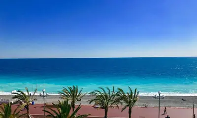 a view of the beach with palm trees and the ocean at Florida Blue - Easy Home Booking in Nice