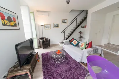 a living room with a tv and a purple rug at La Garibaldi in Nice