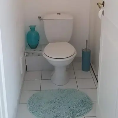 a bathroom with a toilet and a blue vase at Appartement Nice Port in Nice