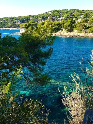 a view of a body of water with trees at Les Jasmins in Beaulieu-sur-Mer