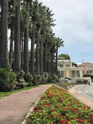 a park with palm trees and flowers in front of a house at Les Jasmins in Beaulieu-sur-Mer