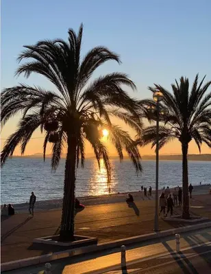 a group of palm trees on a beach at sunset at France Nice Promenade Des Anglais 80m² Piano in Nice