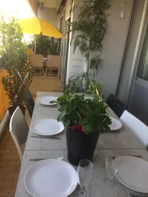 a table with plates and a potted plant on it at SOPHIES HOMES APARTEMENT BEACH and PROMENADE DES ANGLAIS in Nice