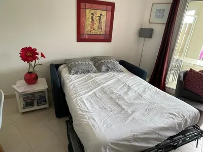 a bedroom with a large bed in a room at Renoir Appartement in Cagnes-sur-Mer