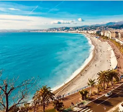 a view of a beach with palm trees and the ocean at Appartement coeur du vieux Nice in Nice
