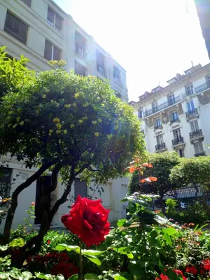 a red rose in a garden in front of a building at Nice Appart in Nice