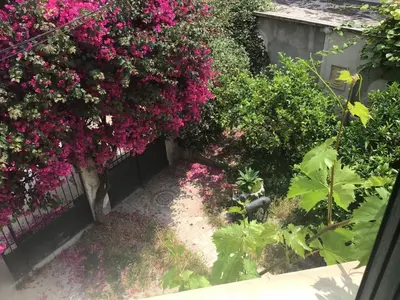 a garden with pink flowers and a fence at Appartement Tout Confort avec Terrasse in Nice