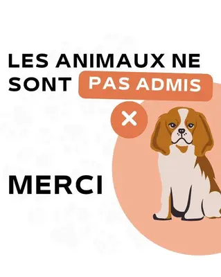 an illustration of a dog with the text less animals transmit sontionics pasionics at Hotel Flots d'Azur Promenade des Anglais in Nice