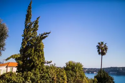 a house with a palm tree and a palm tree at Jardin Figuiers AP4123 by Riviera Holiday Homes in Villefranche-sur-Mer