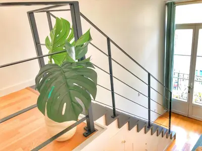 a plant in a pot next to a staircase at Homelivia, Appart FRIDA, mezzanine, déco raffinée et balcon in Nice