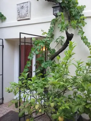 a plant in front of a house with a lamp at La Plenitude in Cagnes-sur-Mer