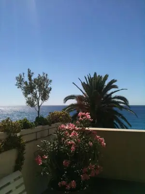 a view of the ocean from a balcony with flowers at Hotel Cresp in Nice