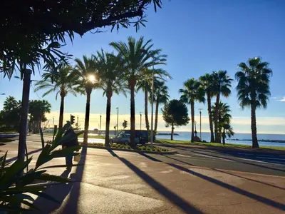 a person walking down a street with palm trees at Charmant 2 pièces à 50 M de la mer in Cros-de-Cagnes