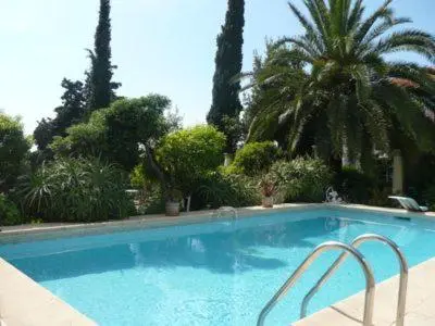 a large swimming pool with trees and palm trees at Villa Dracoena in Nice