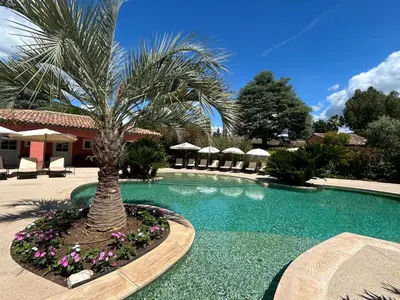 a palm tree sitting next to a swimming pool at Domaine De Respelido in Carros