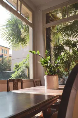 a table with a potted plant on it in front of a window at Hôtel Belle Meunière in Nice