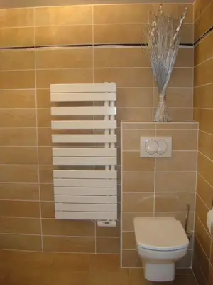 a bathroom with a toilet with a plant on the wall at Promenade Gambetta in Nice
