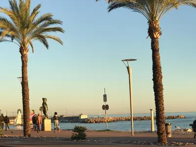 a group of palm trees on a sidewalk near the ocean at Cros De Cagnes in Cagnes-sur-Mer