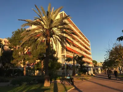 a palm tree in front of a large building at Cros De Cagnes in Cagnes-sur-Mer
