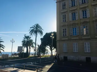 a building with a palm tree next to a street at Perla Duplex - No Better Location In Nice in Nice