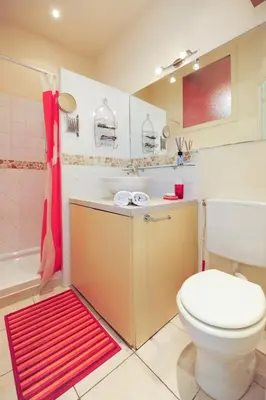 a bathroom with a white toilet and a red rug at Mini Suite Miro Five Stars Holiday House in Nice