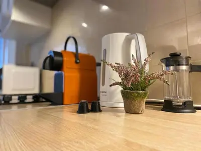 a plant sitting on a counter next to a coffee maker at Super studio in the heart of Nice! in Nice