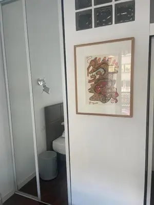 a bathroom door with a picture of a dragon on it at Appartement moderne 4p hypercentre de nice in Nice
