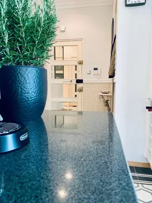 a potted plant sitting on a counter in a kitchen at Villa Bagatelle - Luxury apartment in Nice