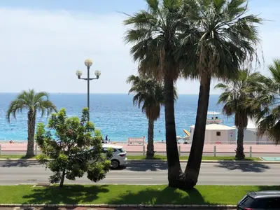 a group of cars parked in a parking lot with palm trees at Luxe et charme Méditerranéen face à la promenade des Anglais in Nice