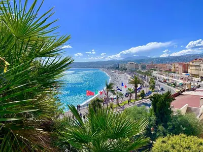 a view of a beach with palm trees and buildings at Palais Massena - Easy Home Booking in Nice