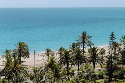 a view of a beach with palm trees and the ocean at AC Hotel by Marriott Nice in Nice