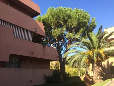 a palm tree in front of a building at AZURELLE in Nice