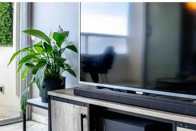 a tv sitting on top of a table with a plant at Flat design with SEA view promenade des anglais in Nice