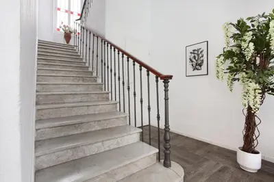 a staircase in a home with a potted plant at Hôtel Alcôve Nice in Nice