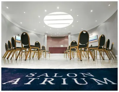 a group of chairs in a conference room with a rug at Splendid Hotel & Spa Nice in Nice