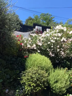 a garden with pink flowers and green bushes at Petite chambre indépendante avec sdb, clim et parking privé in Nice