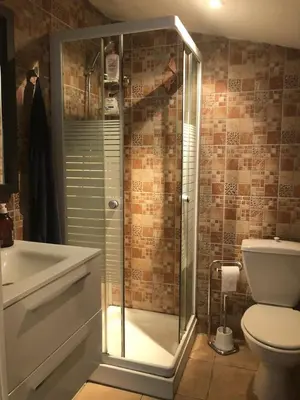 a bathroom with a shower and a toilet at Petite chambre indépendante avec sdb, clim et parking privé in Nice