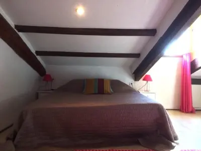 a bedroom with a large bed in a room at Garibaldi mansardé in Nice
