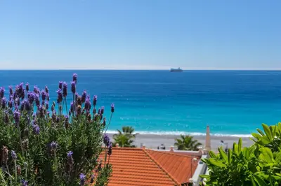 a view of the beach from a house with purple flowers at Nestor&Jeeves - SEA VIEW TERRACE PENTHOUSE - Exceptional terrace - Top floor in Nice